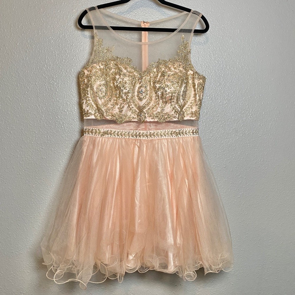 Pink Rhinestone Embroidered Fairy Balletcore Formal Prom Tule‎ Dress XXL Prom